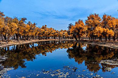 消息称索尼不会推出PS Vita 2 或研发云串流掌机